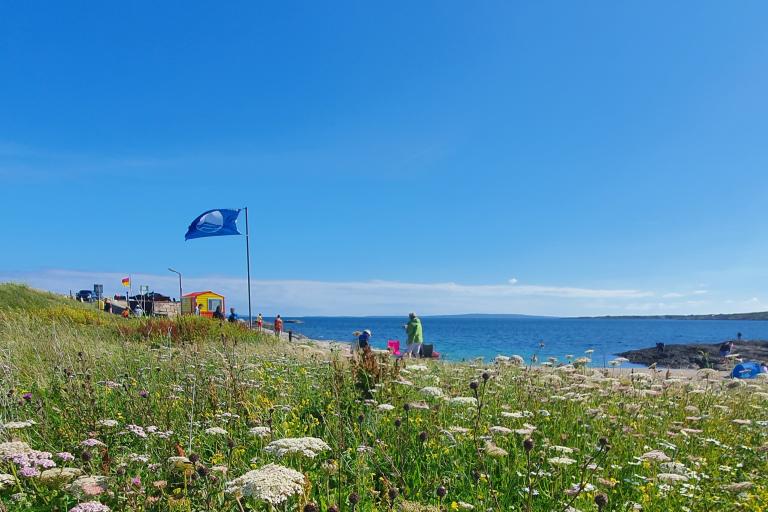 /Tra an Doilin wildflowers Photo