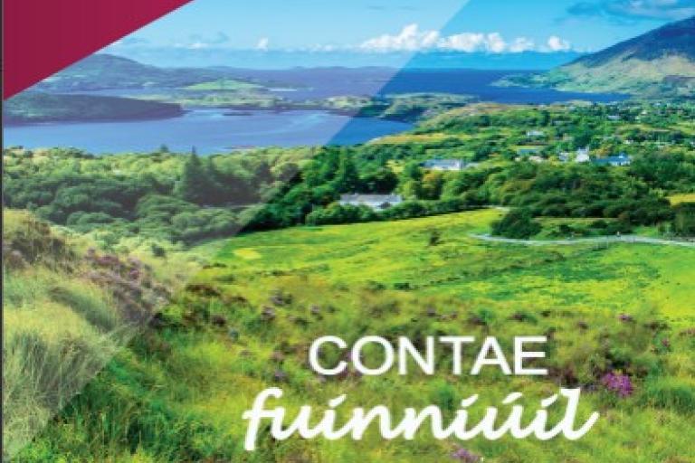 Vibrant Co Galway