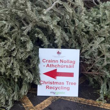 Christmas Tree Recycling