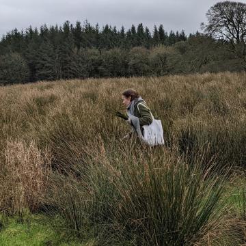 woman in boggy field of rushes