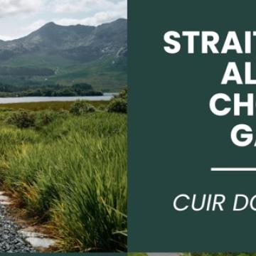 Plean Áineasa  Allamuigh Chontae  na Gaillimhe