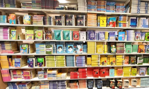 Image of books on a shelf