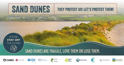 Sand Dunes Image