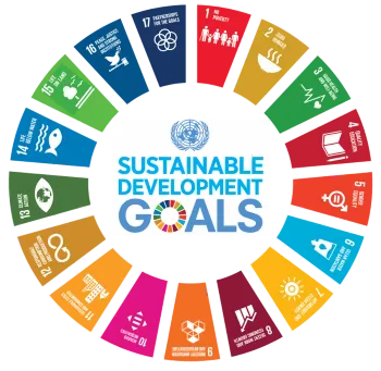 SDG Wheel