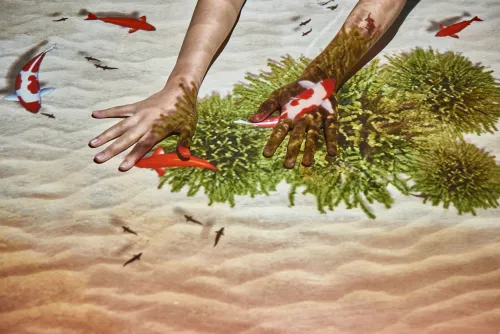 Image of person playing with projected fish