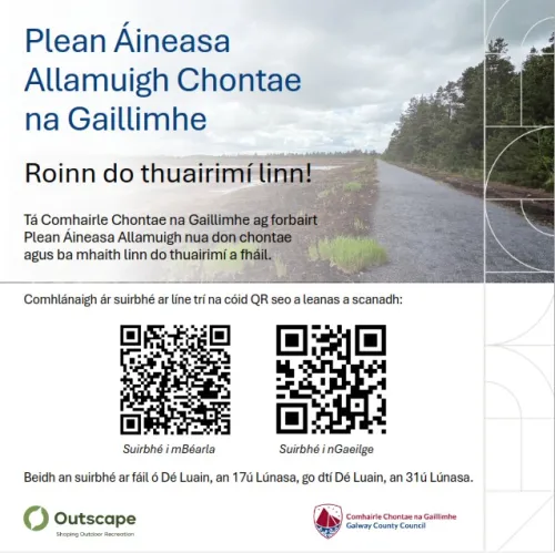 Plean Áineasa  Allamuigh Chontae  na Gaillimhe