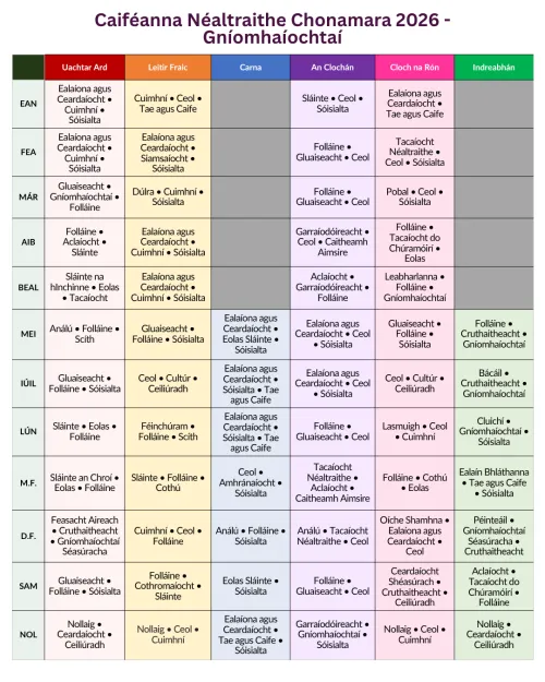 Dementia Cafes Activity Schedule in Irish